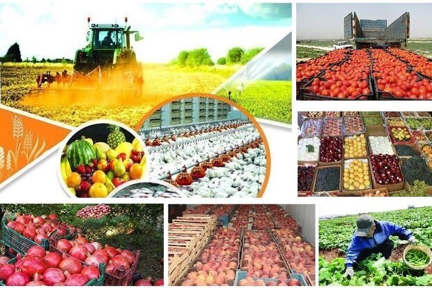 رشد ٣٢ درصدی صادرات محصولات کشاورزی/ حذف معافیت مالیاتی منتفی شد