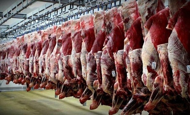 کاهش قیمت دام و گوشت قرمز با شیوع کرونا