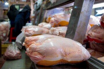 پلمب ۷۹ واحد صنفی فروش مرغ به دلیل گرانفروشی و رعایت نکردن نکات بهداشتی