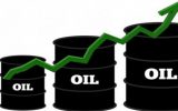 آهنگ رشد قیمت نفت آهسته شد